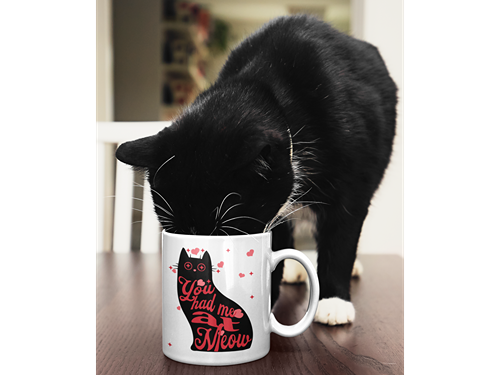You Had Me at Meow- Ceramic Mug