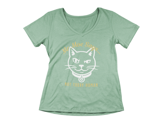 Mr. Moe Says - Not Today Human Women’s V-Neck