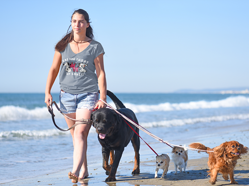 One Dog Short of Crazy! Women's V-Neck