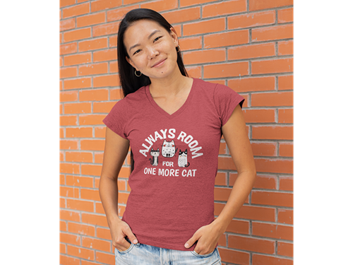 Always Room For One More Cat Woman's V-Neck Tee