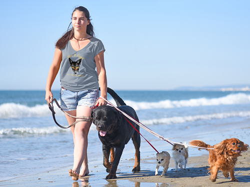 Miss B Says: Let the Dog Decide Women's V-Neck