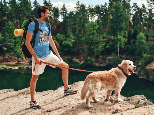 It's Not My Walk Women’s V-Neck