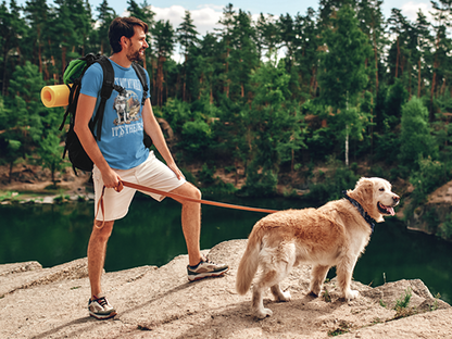 It's Not My Walk Women’s V-Neck