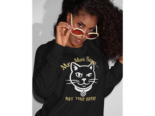 Mr. Moe Says - Not Today Human Sweatshirt