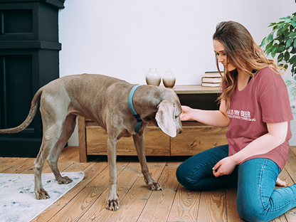 Hold My Beer While I Pet This Dog Women’s V-Neck