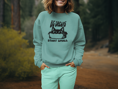 Big Dreams Start Small Sweatshirt