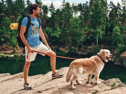 It's Not My Walk Unisex Tee