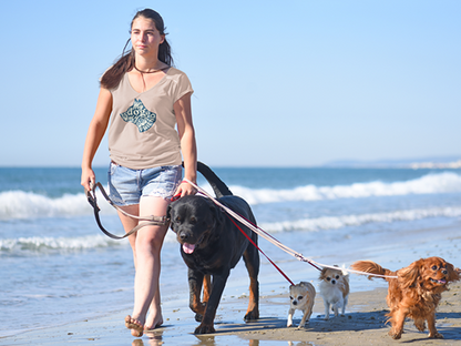 My Dog is My Best Friend Women’s V-Neck