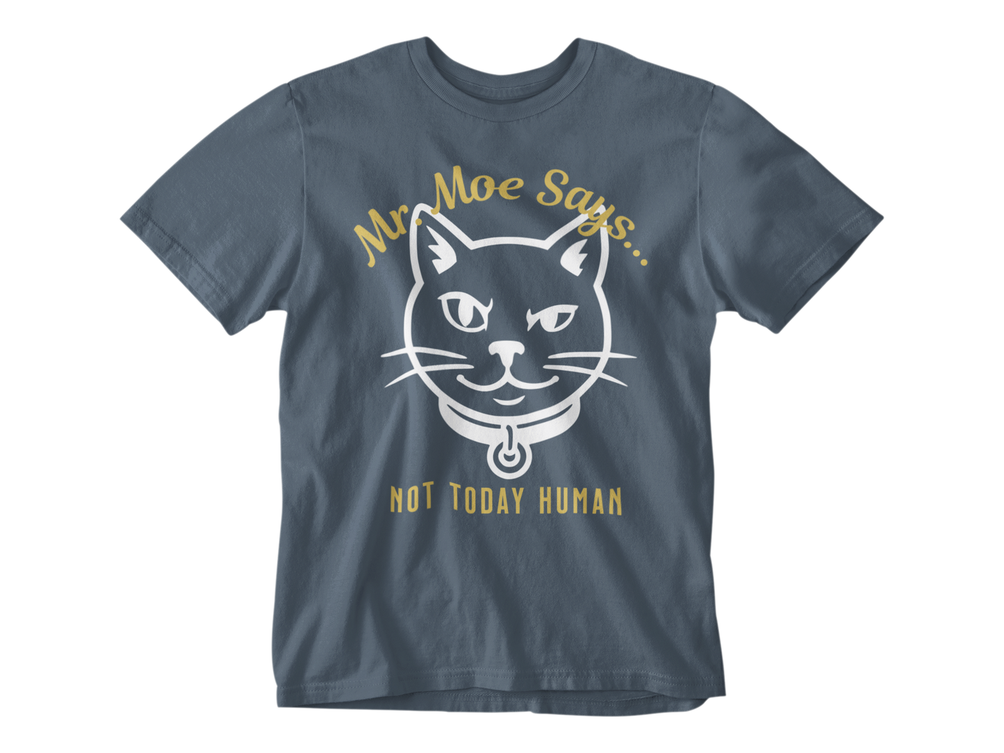Mr. Moe Says - Not Today Human Unisex Tee