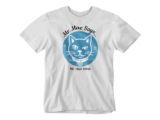 Mr Moe - Not Today - CLEARANCE