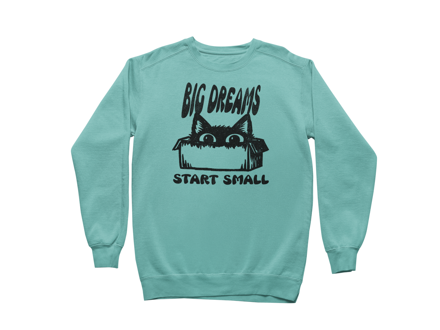 Big Dreams Start Small Sweatshirt