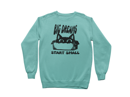 Big Dreams Start Small Sweatshirt