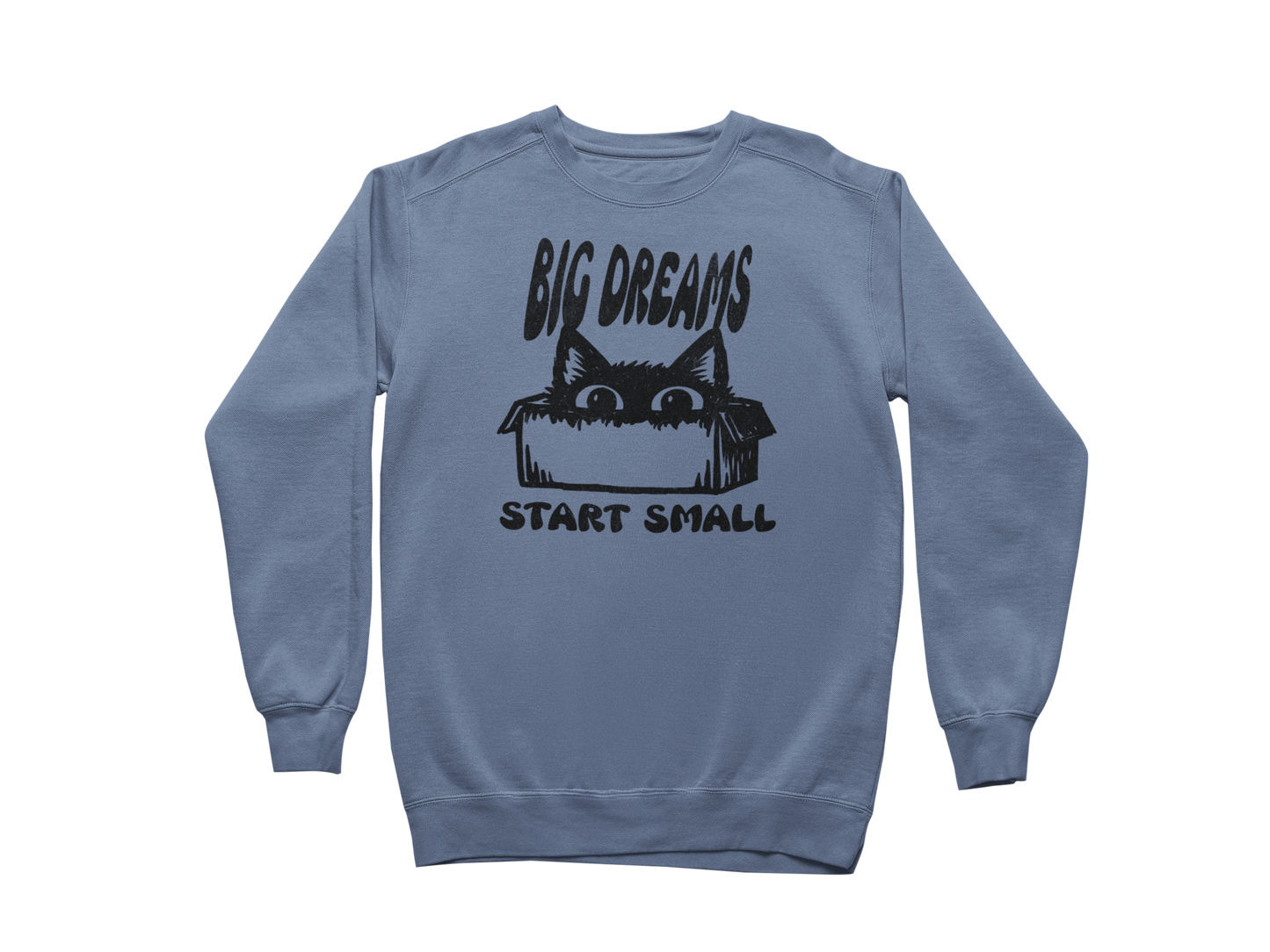 Big Dreams Start Small Sweatshirt