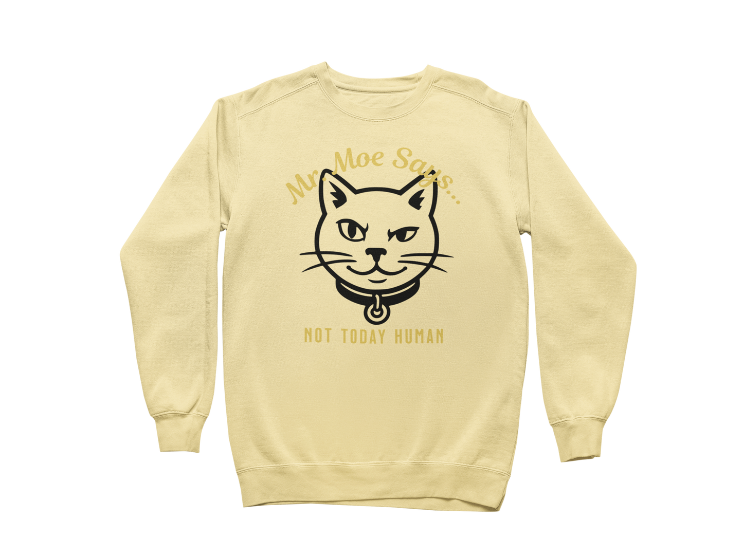 Mr. Moe Says - Not Today Human Sweatshirt