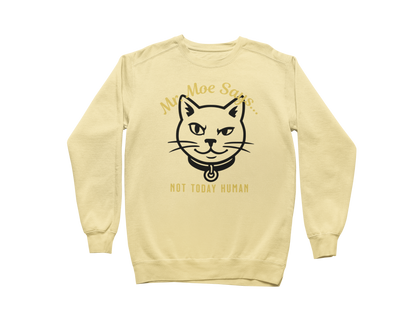 Mr. Moe Says - Not Today Human Sweatshirt