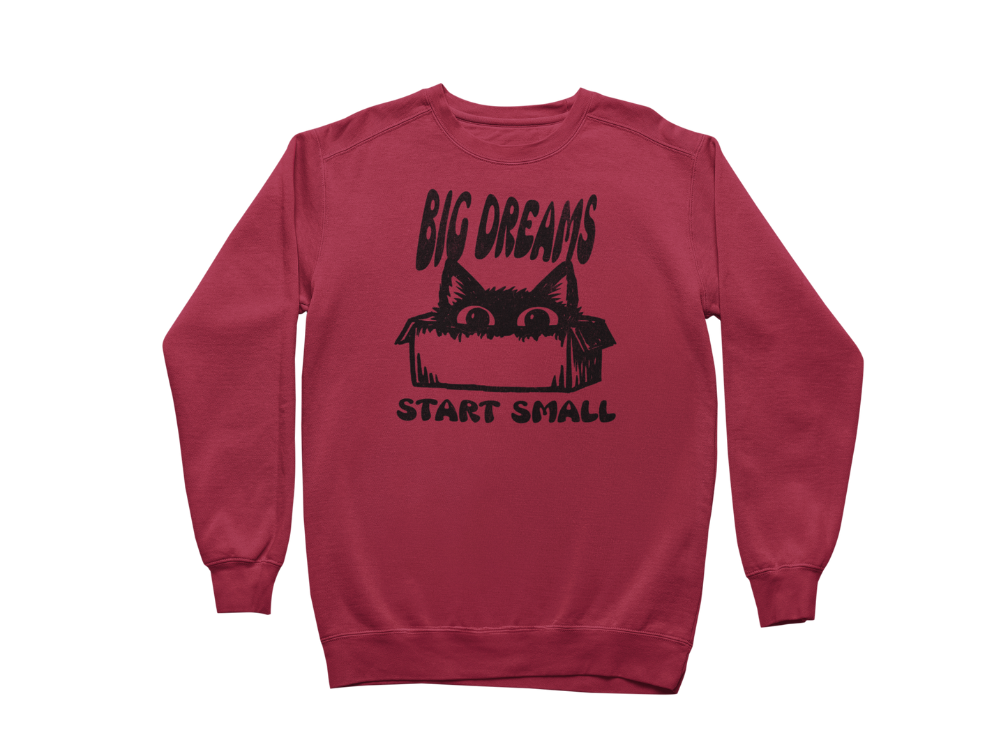 Big Dreams Start Small Sweatshirt