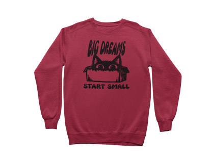 Big Dreams Start Small Sweatshirt