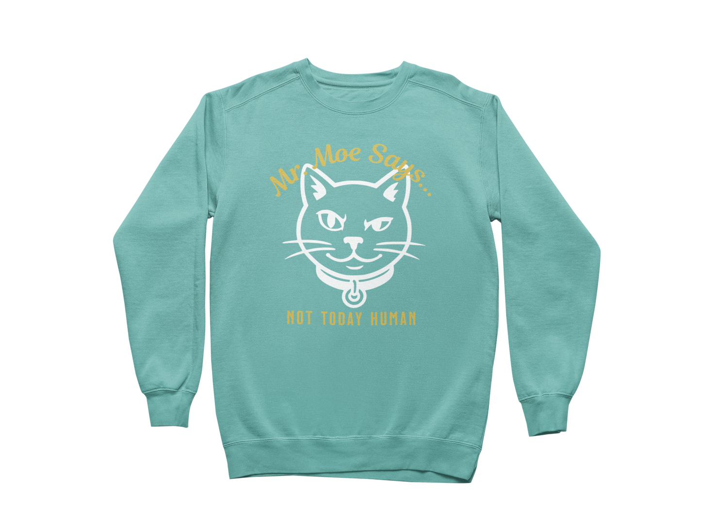 Mr. Moe Says - Not Today Human Sweatshirt