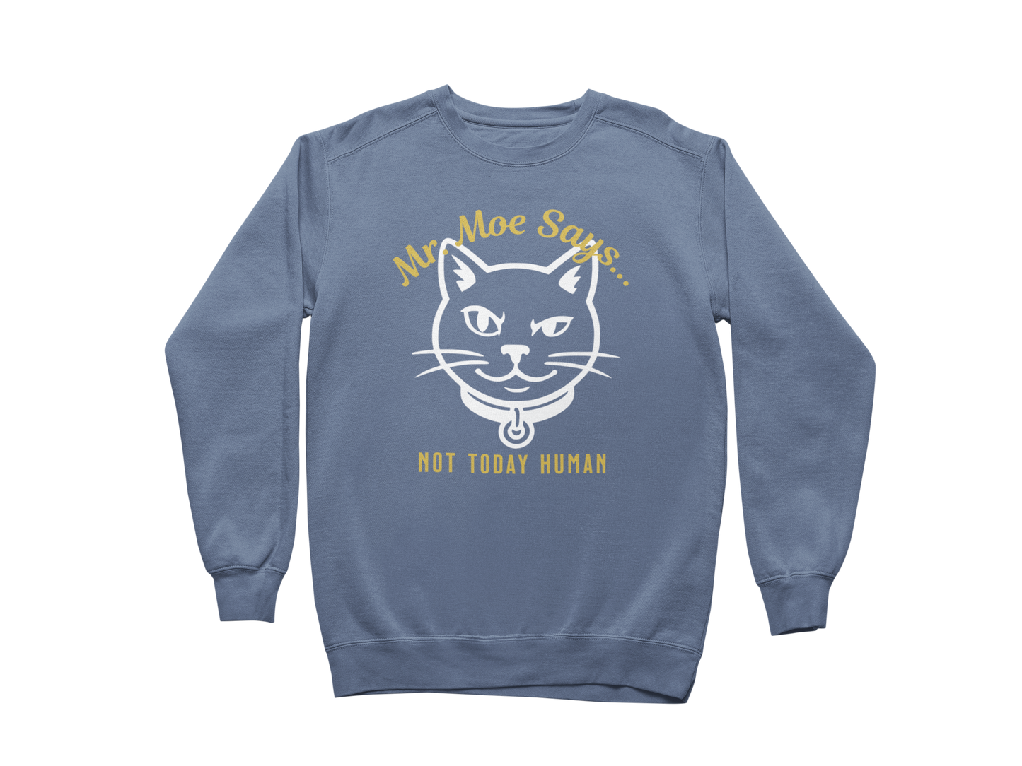 Mr. Moe Says - Not Today Human Sweatshirt