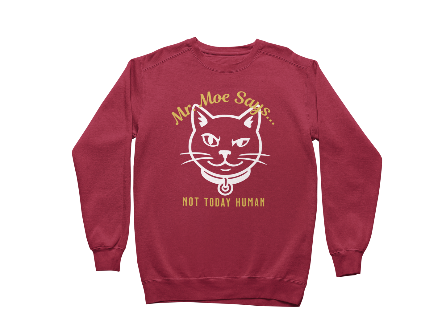 Mr. Moe Says - Not Today Human Sweatshirt