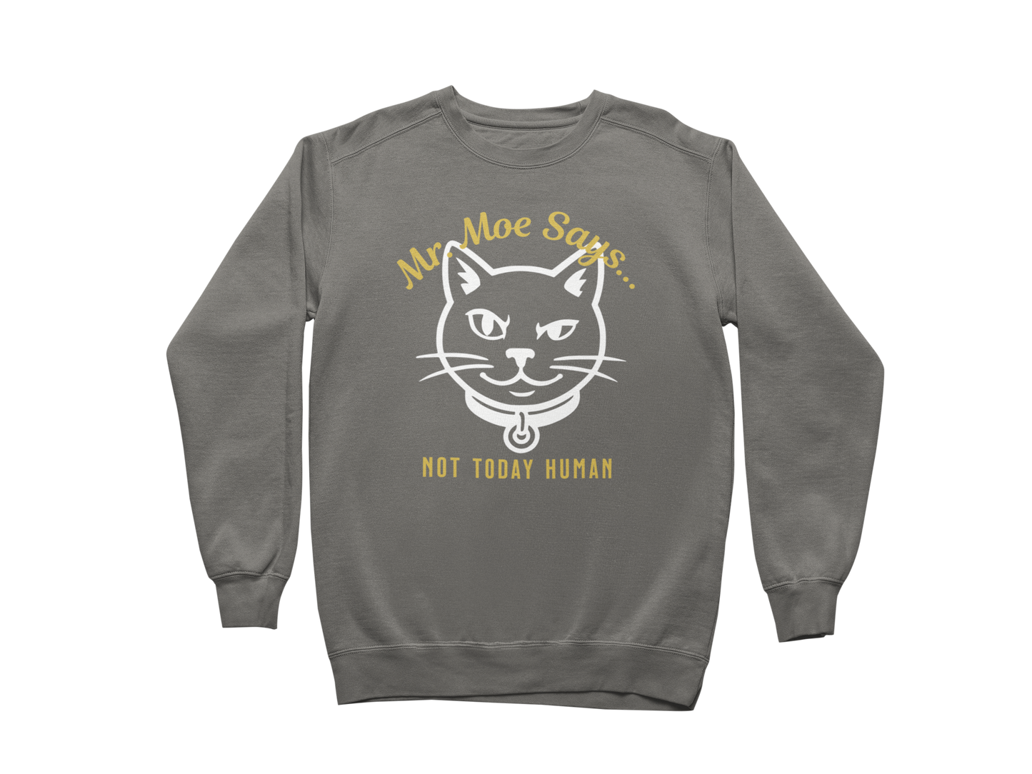 Mr. Moe Says - Not Today Human Sweatshirt