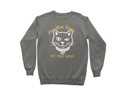 Mr. Moe Says - Not Today Human Sweatshirt