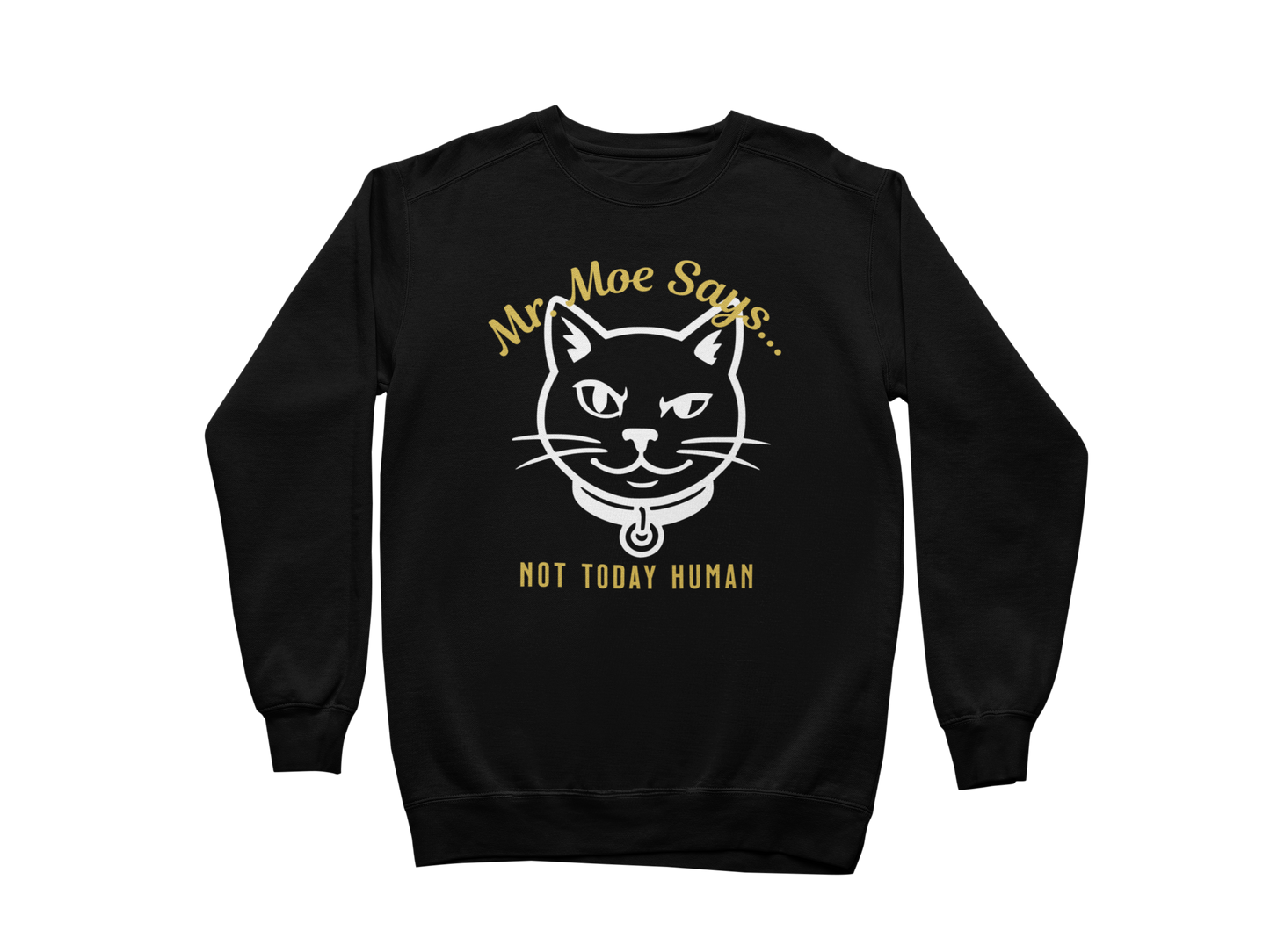 Mr. Moe Says - Not Today Human Sweatshirt