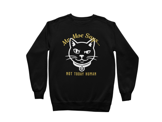 Mr. Moe Says - Not Today Human Sweatshirt
