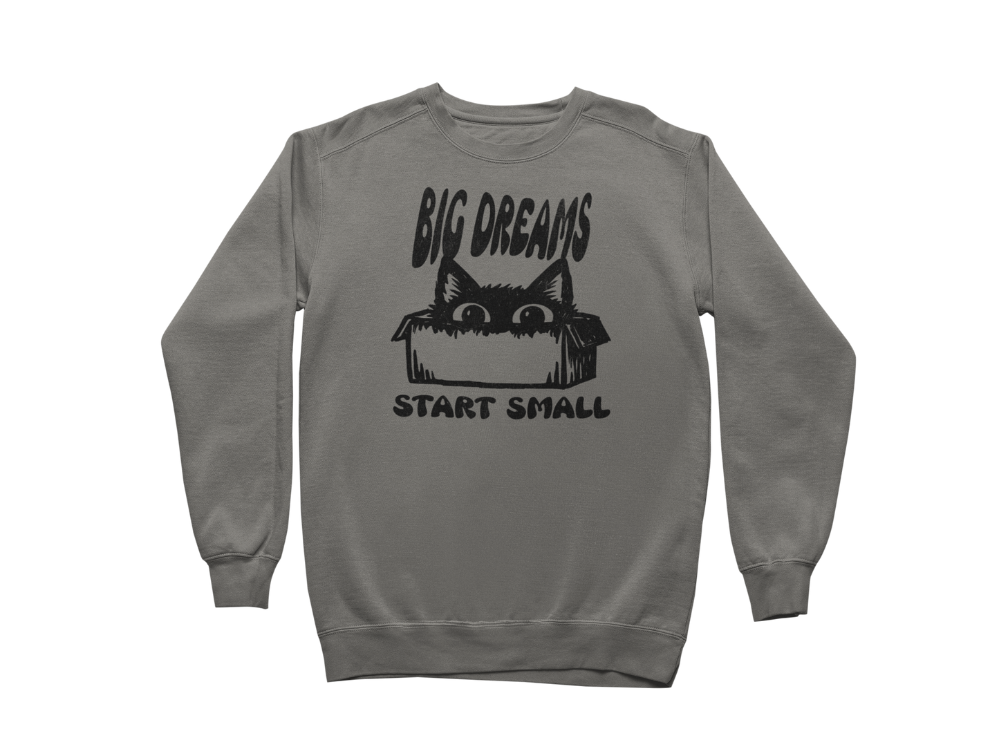 Big Dreams Start Small Sweatshirt