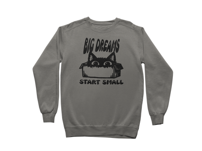 Big Dreams Start Small Sweatshirt