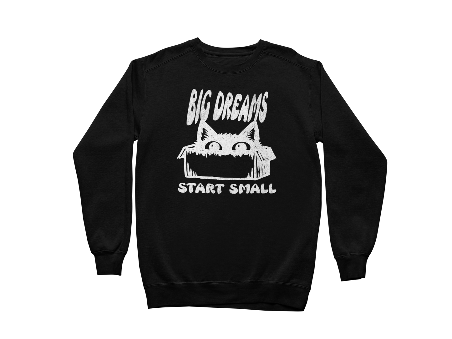Big Dreams Start Small Sweatshirt