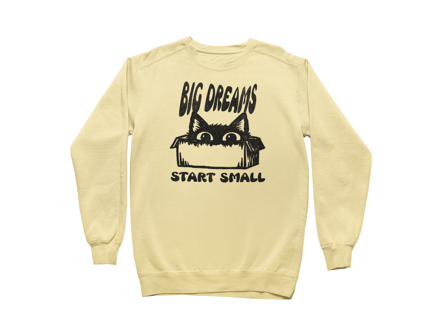 Big Dreams Start Small Sweatshirt