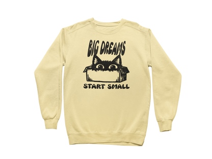 Big Dreams Start Small Sweatshirt