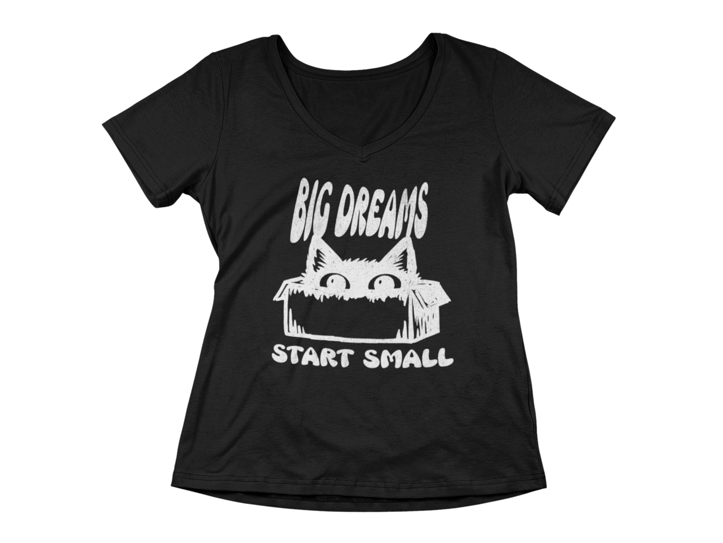 Big Dreams Start Small  Woman's V-Neck Tee