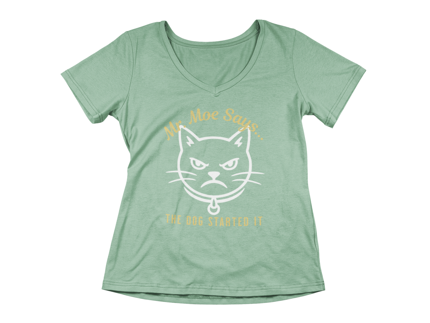 Mr. Moe Says - The Dog Started It Woman's V-Neck Tee