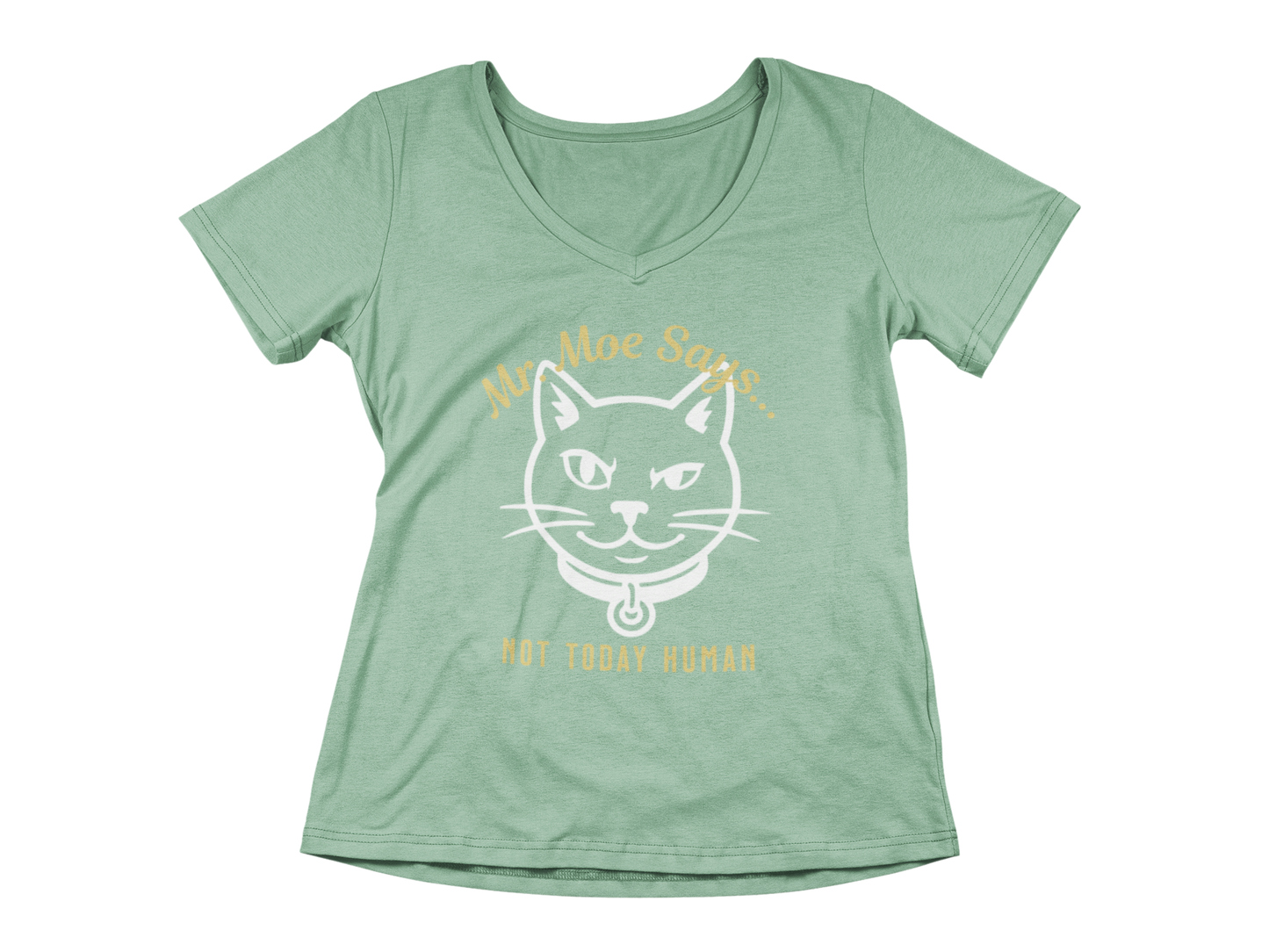 Mr. Moe Says - Not Today Human Women’s V-Neck