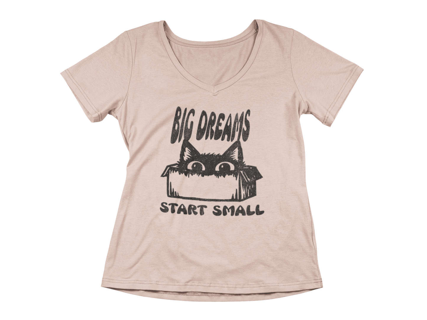 Big Dreams Start Small  Woman's V-Neck Tee