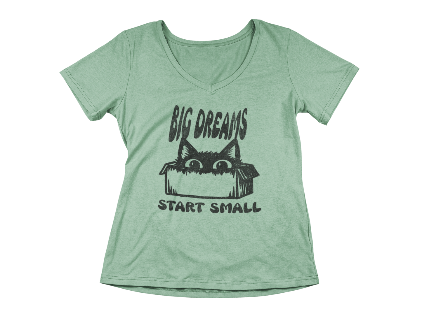 Big Dreams Start Small  Woman's V-Neck Tee