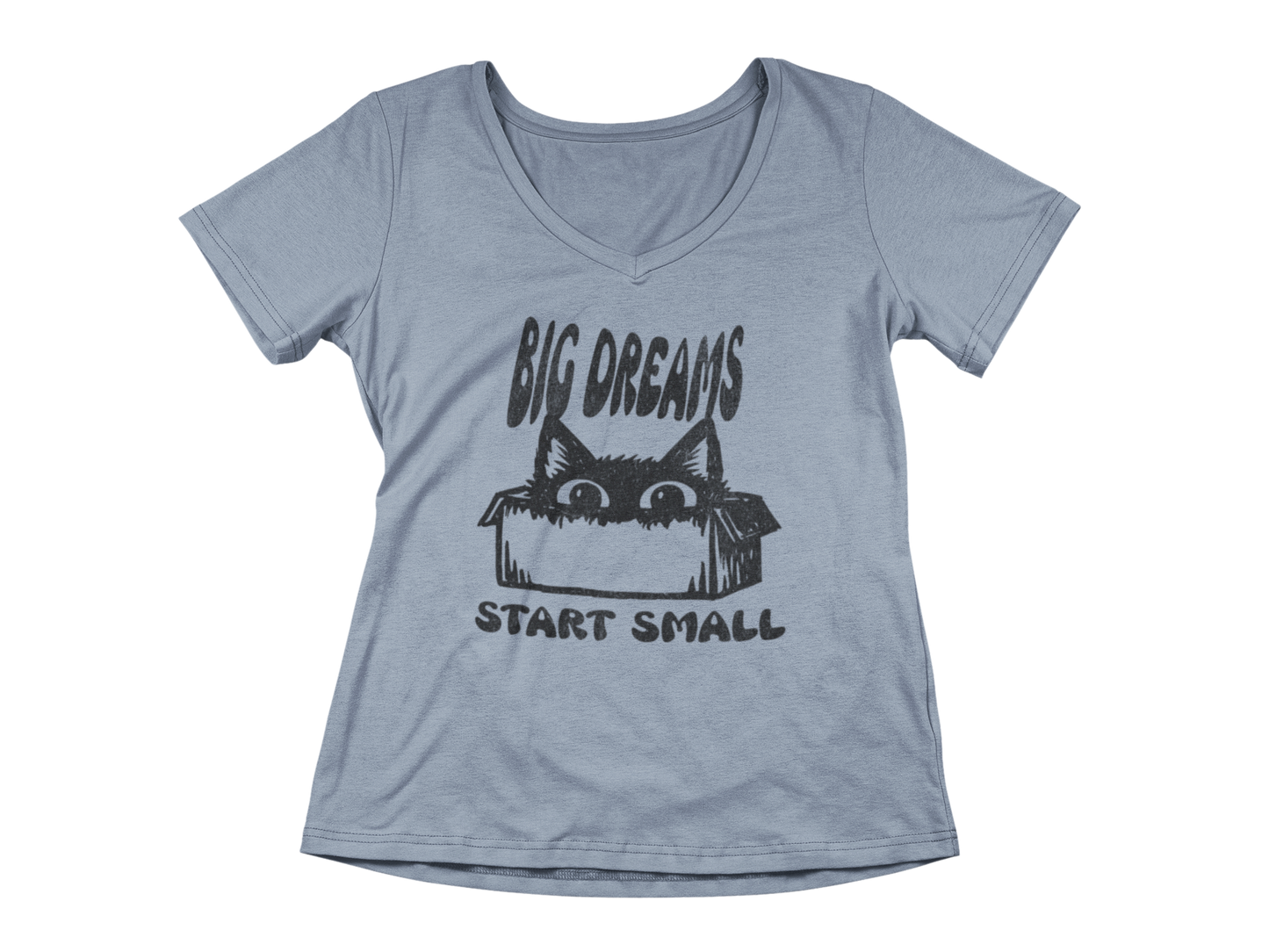 Big Dreams Start Small  Woman's V-Neck Tee