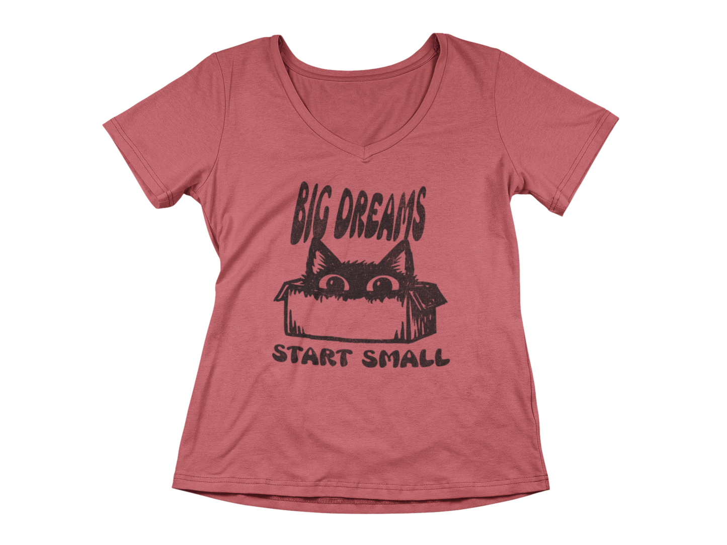 Big Dreams Start Small  Woman's V-Neck Tee