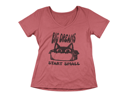 Big Dreams Start Small  Woman's V-Neck Tee